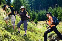 Nordic Walking in der Gruppe im Bayerischen Wald